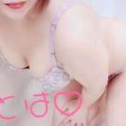 ヒメ日記 2025/07/02 18:17 投稿 ことは 神奈川小田原ちゃんこ