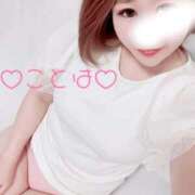 ヒメ日記 2025/08/30 08:47 投稿 ことは 神奈川小田原ちゃんこ