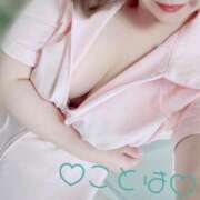 ヒメ日記 2025/09/03 18:07 投稿 ことは 神奈川小田原ちゃんこ