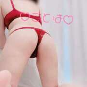 ヒメ日記 2025/09/17 18:27 投稿 ことは 神奈川小田原ちゃんこ