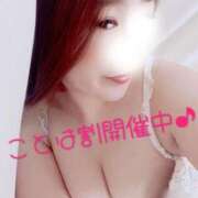 ヒメ日記 2025/09/26 08:27 投稿 ことは 神奈川小田原ちゃんこ