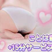 ヒメ日記 2025/11/11 08:30 投稿 ことは 神奈川小田原ちゃんこ