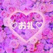 ヒメ日記 2025/11/16 18:11 投稿 ことは 神奈川小田原ちゃんこ