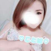 ヒメ日記 2025/11/19 12:00 投稿 ことは 神奈川小田原ちゃんこ