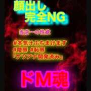 あなーる 予告！ ナメすぎサークル立川店