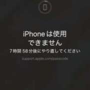 ヒメ日記 2025/05/30 01:24 投稿 みらん アロー