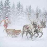 ヒメ日記 2025/12/18 17:13 投稿 みらん アロー