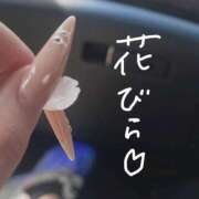 ヒメ日記 2026/04/10 00:03 投稿 みらん アロー