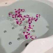 ヒメ日記 2025/12/23 10:55 投稿 えれな 渋谷じゃっくす