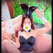 ヒメ日記 2024/08/30 23:13 投稿 ねね TOKYO BUNNYS CLUB