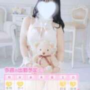 ヒメ日記 2025/04/21 17:34 投稿 しおん バカンス学園　谷九校