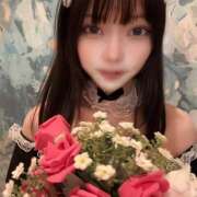 ヒメ日記 2025/09/05 18:39 投稿 リオン 姫路ラビット