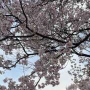 ヒメ日記 2025/04/15 17:08 投稿 ニジホ 姫路ラビット