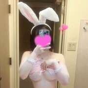 ヒメ日記 2025/09/19 15:42 投稿 ニジホ 姫路ラビット