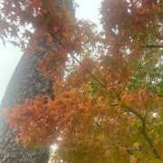 ヒメ日記 2025/10/24 13:50 投稿 ニジホ 姫路ラビット