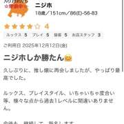 ヒメ日記 2025/12/16 04:32 投稿 ニジホ 姫路ラビット