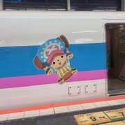 ヒメ日記 2026/02/26 15:03 投稿 ニジホ 姫路ラビット