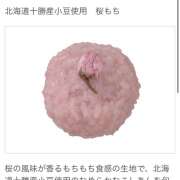 ヒメ日記 2026/03/21 14:46 投稿 ニジホ 姫路ラビット