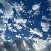 ヒメ日記 2025/11/27 11:18 投稿 りな 奥様メモリアル