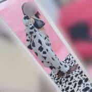 ヒメ日記 2024/12/25 17:09 投稿 みゆき牛ちゃん Funky Milky Baby（ファンキーミルキーベイビー）