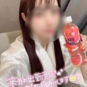 ヒメ日記 2025/10/31 10:05 投稿 うた 吉祥寺 添い寝女子