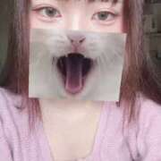 ヒメ日記 2025/04/18 11:52 投稿 わか アイドルチェッキーナ本店