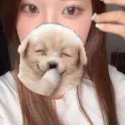 ヒメ日記 2025/10/07 15:12 投稿 わか アイドルチェッキーナ本店