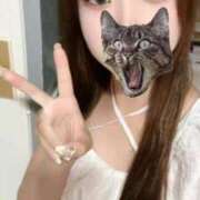 わか 明日 アイドルチェッキーナ本店