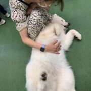 ヒメ日記 2025/01/13 13:01 投稿 華玲香 エルドール