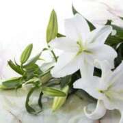 ヒメ日記 2024/12/26 11:02 投稿 矢口 響(やぐちひびき) 五十路マダムエクスプレス厚木店(カサブランカグループ)