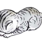 ヒメ日記 2025/02/23 10:00 投稿 矢口 響(やぐちひびき) 五十路マダムエクスプレス厚木店(カサブランカグループ)