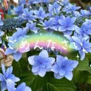 ヒメ日記 2025/07/20 10:26 投稿 矢口 響(やぐちひびき) 五十路マダムエクスプレス厚木店(カサブランカグループ)