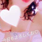 ヒメ日記 2025/10/12 08:36 投稿 矢口 響(やぐちひびき) 五十路マダムエクスプレス厚木店(カサブランカグループ)