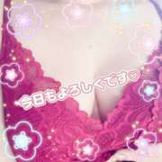 ヒメ日記 2025/11/01 08:54 投稿 矢口 響(やぐちひびき) 五十路マダムエクスプレス厚木店(カサブランカグループ)