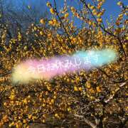 ヒメ日記 2026/01/20 09:00 投稿 矢口 響(やぐちひびき) 五十路マダムエクスプレス厚木店(カサブランカグループ)