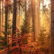 ヒメ日記 2024/12/13 00:15 投稿 とうこ Ange(長崎)