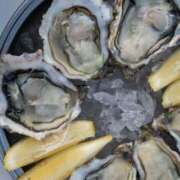 ヒメ日記 2024/12/14 00:03 投稿 とうこ Ange(長崎)