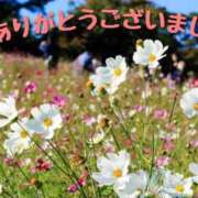 ヒメ日記 2025/09/12 02:03 投稿 とうこ Ange(長崎)