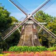 ヒメ日記 2025/09/14 02:15 投稿 とうこ Ange(長崎)