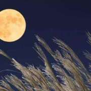 ヒメ日記 2025/09/15 02:09 投稿 とうこ Ange(長崎)