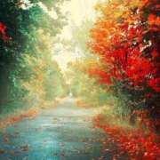 ヒメ日記 2025/09/16 00:03 投稿 とうこ Ange(長崎)