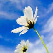 ヒメ日記 2025/09/17 00:12 投稿 とうこ Ange(長崎)