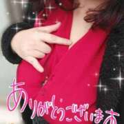 ヒメ日記 2024/12/12 07:31 投稿 ひより 即アポ奥さん〜名古屋店〜