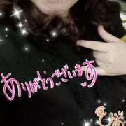 ヒメ日記 2024/12/31 19:01 投稿 ひより 即アポ奥さん〜名古屋店〜