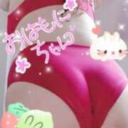 ヒメ日記 2025/02/06 09:02 投稿 ひより 即アポ奥さん〜名古屋店〜