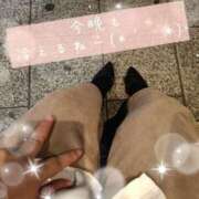 ヒメ日記 2025/02/21 19:28 投稿 ひより 即アポ奥さん〜名古屋店〜