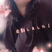 ヒメ日記 2025/03/14 16:02 投稿 ひより 即アポ奥さん〜名古屋店〜