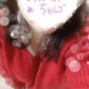 ヒメ日記 2025/04/01 09:21 投稿 ひより 即アポ奥さん〜名古屋店〜