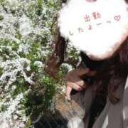 ヒメ日記 2025/04/07 18:45 投稿 ひより 即アポ奥さん〜名古屋店〜