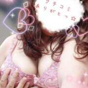 ヒメ日記 2025/05/04 11:31 投稿 ひより 即アポ奥さん〜名古屋店〜